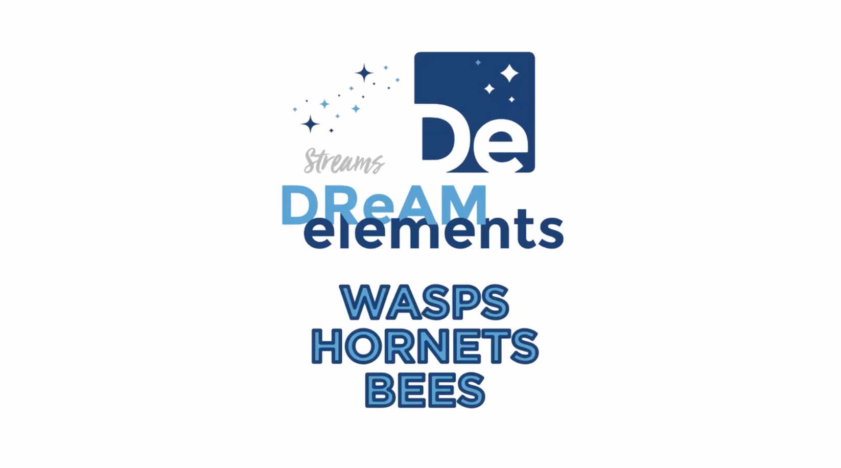Wasps, Hornets, Bees