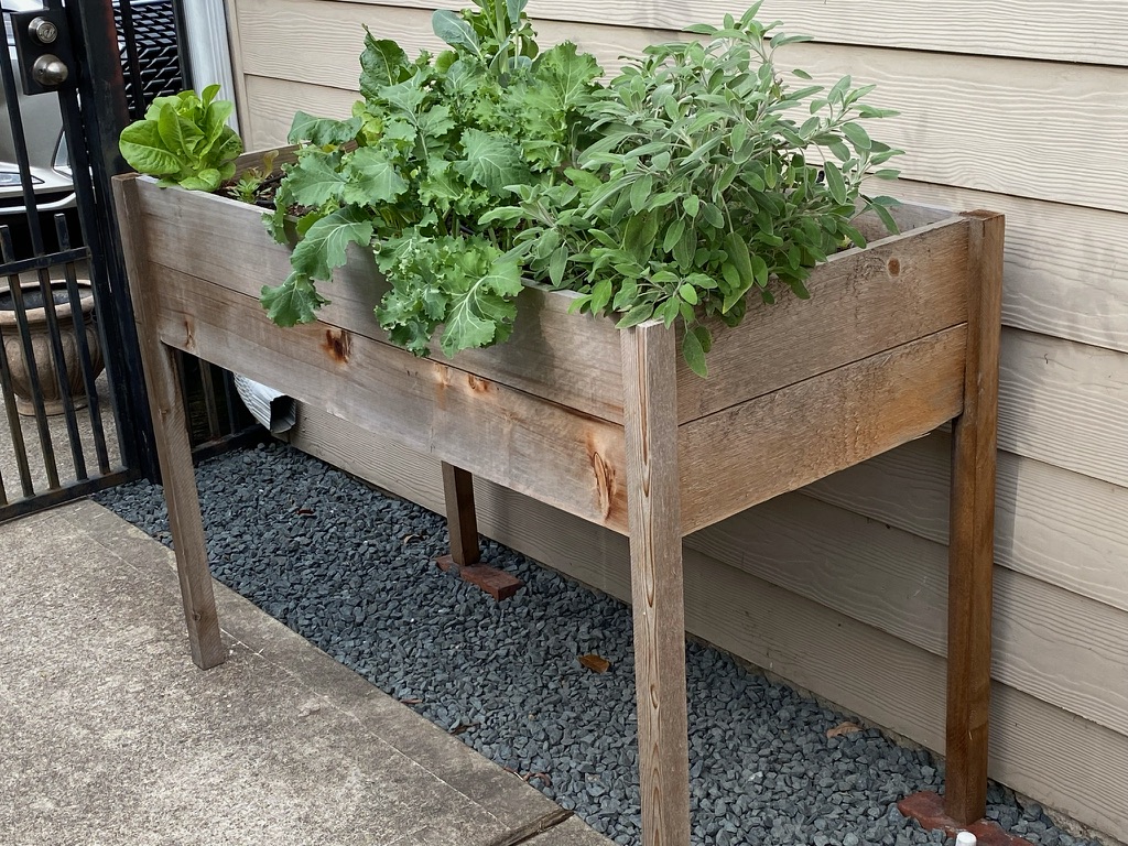 Planting A Garden in Small Spaces