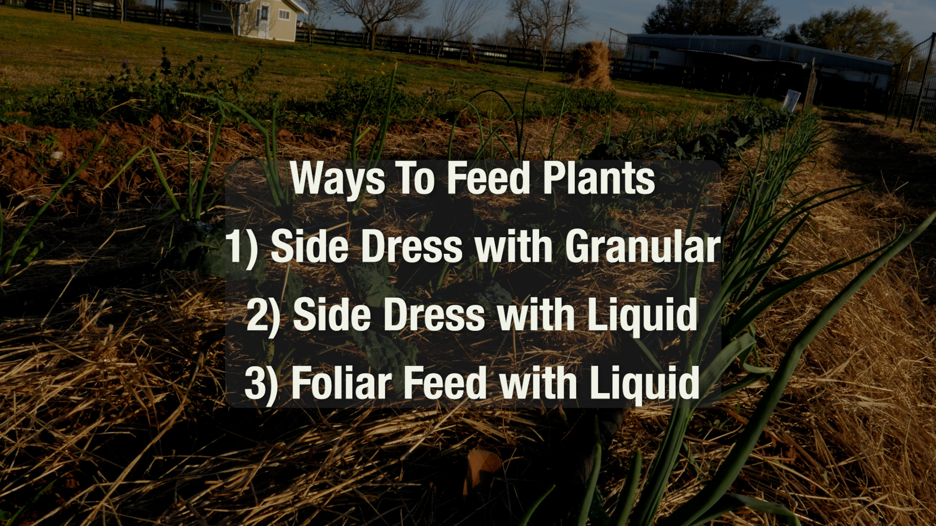 Feeding Your Garden With Fertilizer Tea