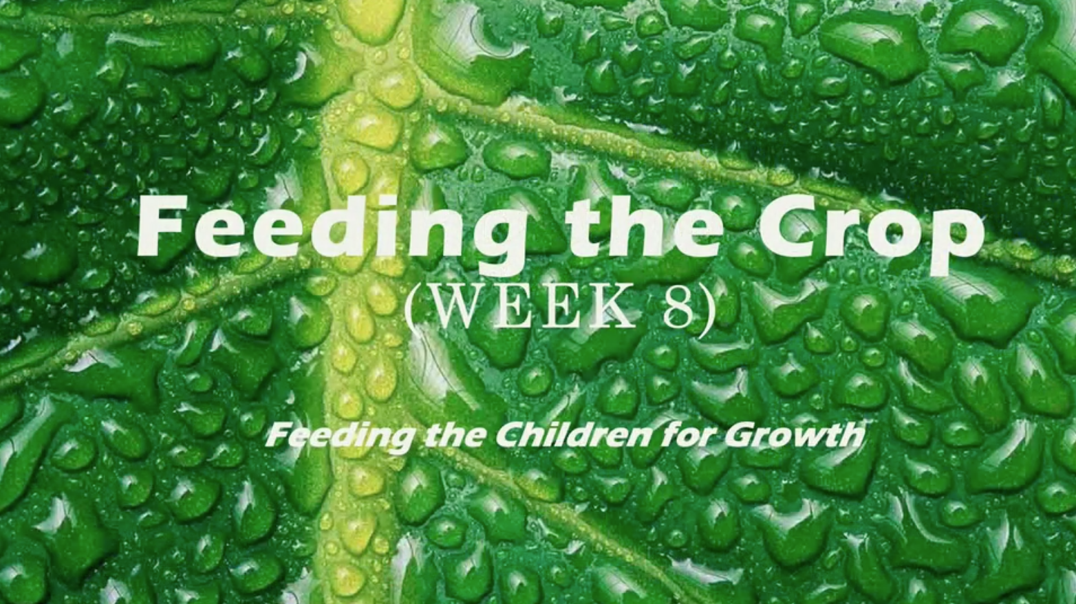 Class Instruction 8 - Feed the Crop
