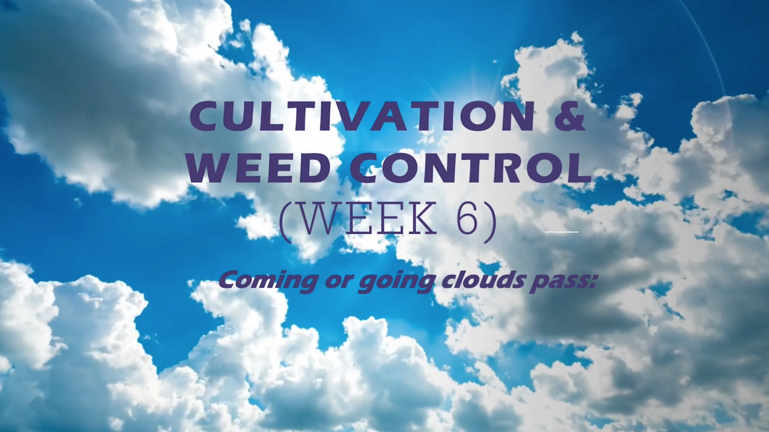 Class Instruction 6 - Cultivation and Weed Control