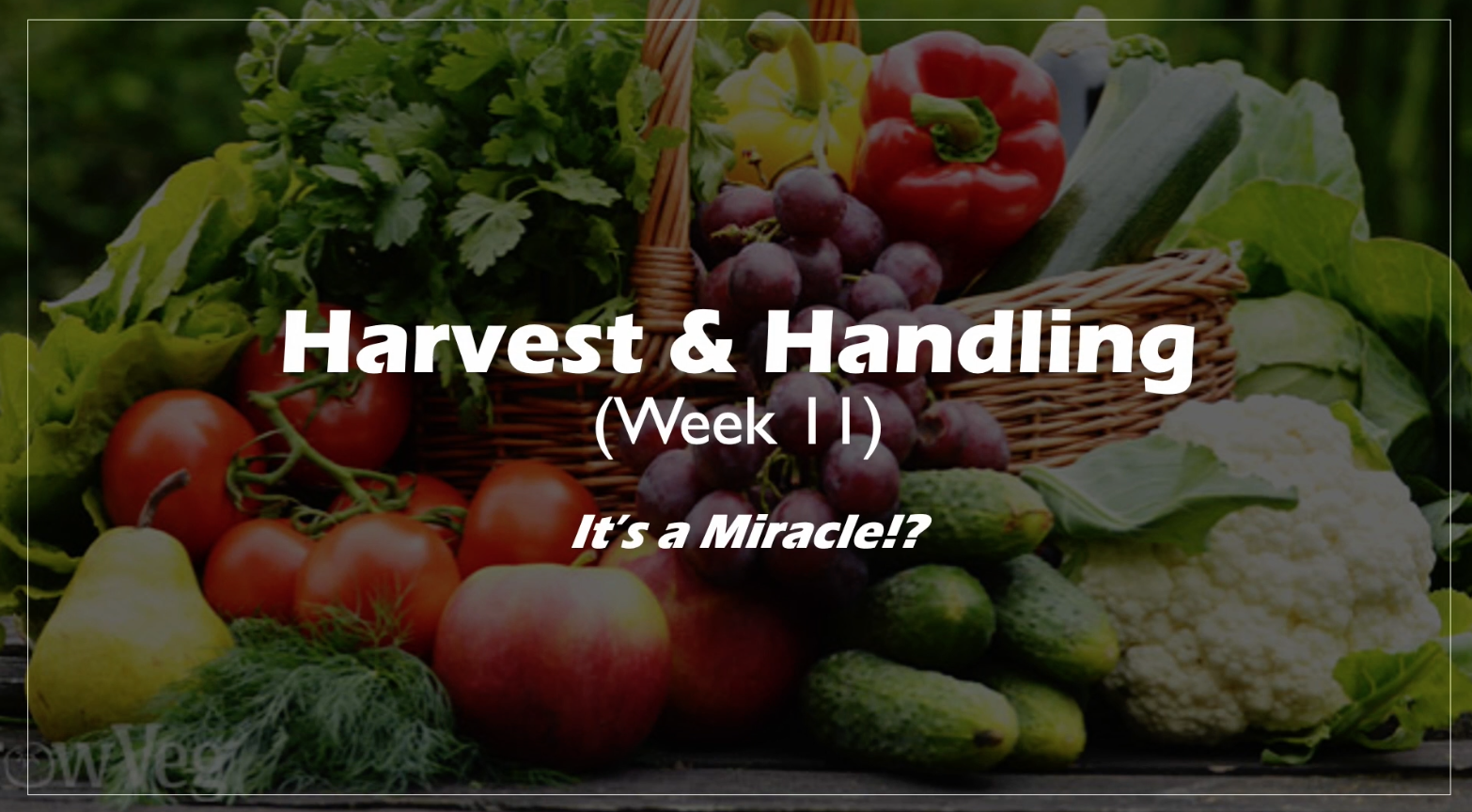 Class Instruction 11 - Harvest and Handling